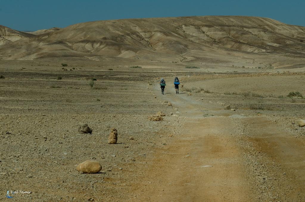 Desert Picture アラド エクステリア 写真