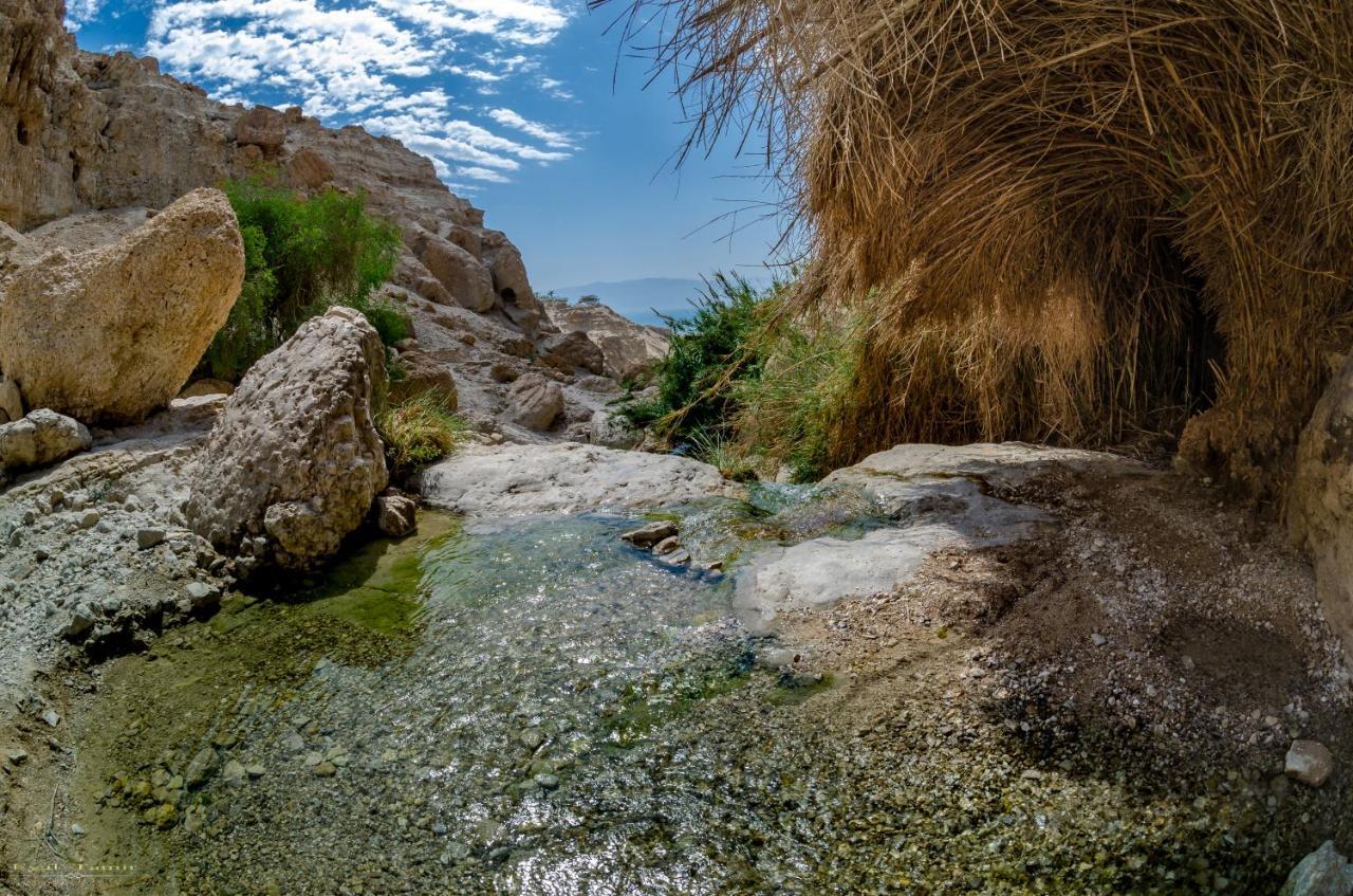 Desert Picture アラド エクステリア 写真