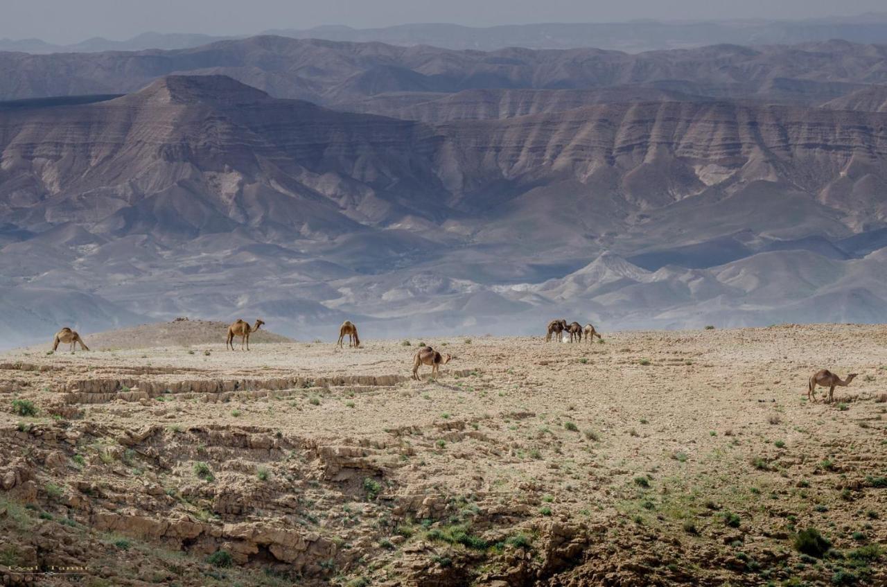 Desert Picture アラド エクステリア 写真