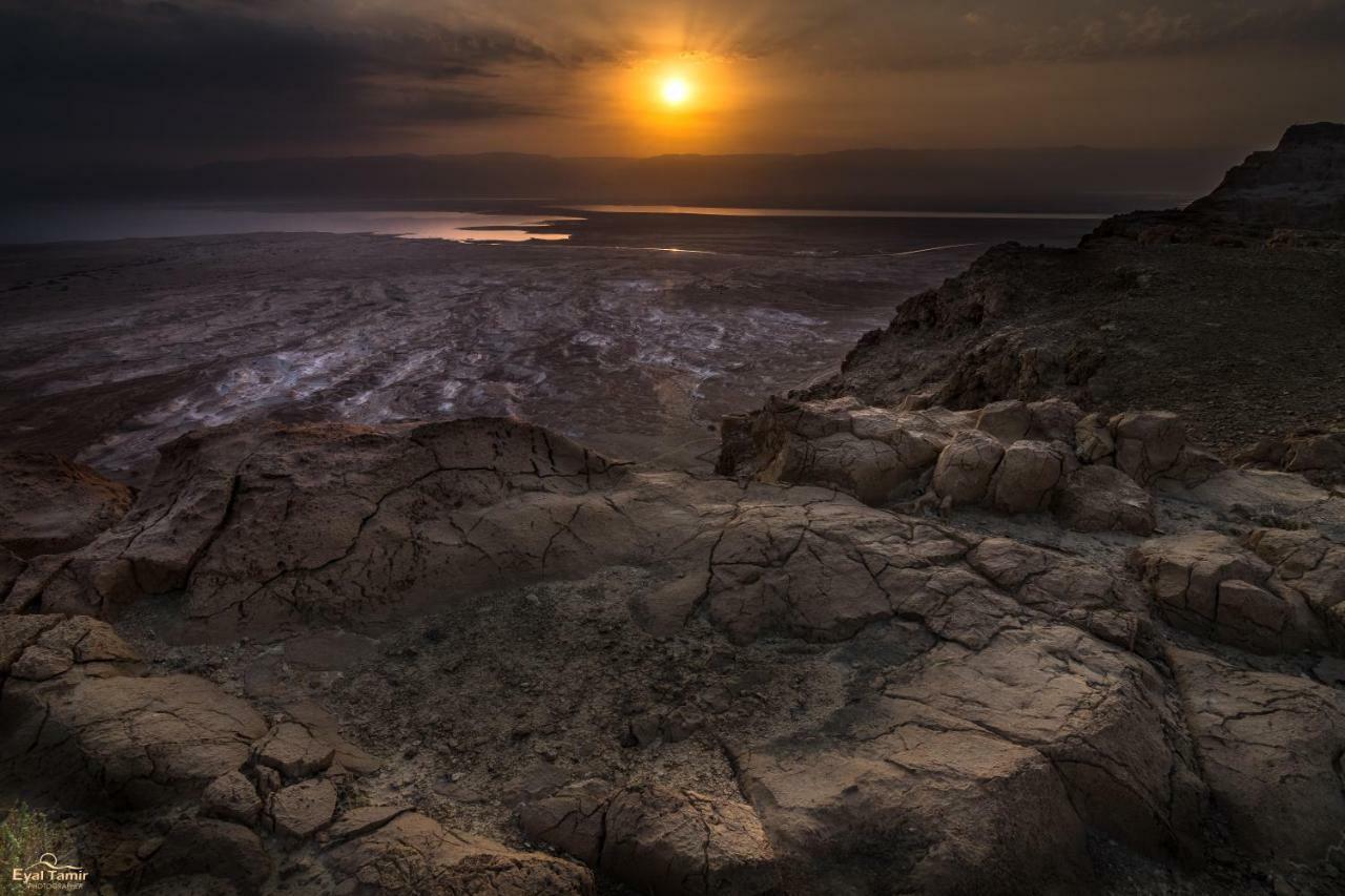 Desert Picture アラド エクステリア 写真